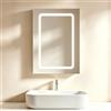 Aeffy Specchio Bagno Contenitore con Luce LED, Mobile Bagno con Specchio, 3 Colori di Luce Regolabili, Ripiani Regolabili, 70L×50B cm