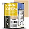Pittura Antimuffa JOVIRA PINTURAS Fiordo Pareti Interni Opaca 750ml