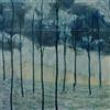 Camera Obscura Desire Lines Album