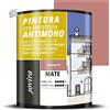 Pittura Antimuffa JOVIRA PINTURAS Granito Pareti Interni Opaca 750ml