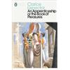 Clarice Lispector An Apprenticeship or The Book of Pleasures (Tascabile)