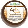 BIOS LINE BIOSLINE APIX POMATA LENITIVA NASO LABBRA 8 ML