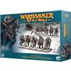 Games Workshop - Warhammer - Il Vecchio Mondo - Guerrieri del Caos: Cavalieri dei Predoni del Caos