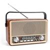 Banaone Radio Vintage FM/AM/SW, Radio Portatile con Batteria Ricaricabile e Bluetooth, Altoparlante con Lettore USB/TF/AUX, Ideale per Casa, Giardino, Campeggio ed Emergenze