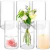 APACALI 6 vasi in vetro grande, 20 x 10 cm, cilindrici, in vetro trasparente, rotondi, sottili, per orchidee, rose, tulipani, erba della pampa, decorazione da tavolo, candele