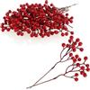 com-four® 25x rami decorativi, rametti decorativi con bacche