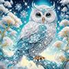 SUNSIERWEI Diamond Painting immagini 5D Diamond Painting per adulti e bambini, fai da te per la decorazione della casa, regali di Natale, regali per amici, famiglia, 30 x 30 cm (gufo)