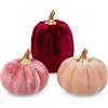 Oairse Set di 3 zucche artificiali in velluto per decorazione autunnale | Zucca bordeaux rosa e beige per centrotavola Halloween, giorno del Ringraziamento, raccolto, autunno, festa di nozze