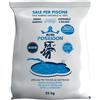 CTX PROFESSIONAL Poseidon 25 KG - Sale granulare piscina per sistemi di elettrolisi