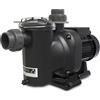 AstralPool SENA 33M 25461 - Pompa per piscina autoadescante 0,33 HP