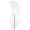 Rayher Piume di Struzzo, Bianco, 30 Cm, Busta 1 Pz, 8510402