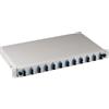 Oem Cassetto Ottico Oem 19'' Estendibile 12 Bussole e 24 Pigtails Lc duplex monomodale Os2 Bianco [SC 9/125Âµ]