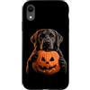 Halloween Pumpkin Labrador Retriever Own Custodia per iPhone XR Lab Halloween Amante dei cani Jack O Lanterna Viso Zucca
