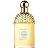 Guerlain Aqua Allegoria Bergamote Calabria Eau De Toilette 75ML