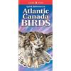 Nicholle Carriere Quick Reference to Atlantic Canada Birds (Mixed Media Product)