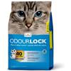 INTERSAND Odour Lock lettiera inodore per gatti 6 kg