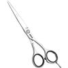 Jaguar HS Schere 5,75 46575 JP 10
