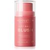 Revolution Fast Base 14 g