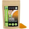 Alpi Nature Curcuma in Polvere BIO 125g, Radice di Curcuma bio Macinata per Cucina e Latte Dorato