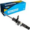 BILSTEIN Ammortizzatore Anteriore Dx A pressione del gas Compatibilità con PEUGEOT 207 WA, WC 22-184177