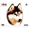 4R Quattroerre.it Quattroerre 8009 Adesivo Cane Husky a Bordo Tabella Dimensioni 14 x 16 cm