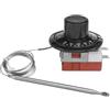 Riloer Termostato capillare per auto, radiatore di raffreddamento ad alta precisione, interruttore di controllo della temperatura da 12 V regolabile 0 ℃ ~ 120 ℃ universale per riscaldamento e