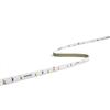 Striscia LED Accento 5 m 30W 6000K 580 Lm/m IP20