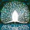 Hot As Sun Night Time Sound Desire (CD)