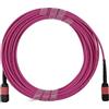 BlueOptics Cavo patch multi-mode OM4, connettori MPO-MPO, BlueOptics Cisco CB-M12-M12-MMF30M, lunghezza 30 metri