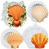 Sijiangmold Stampo in silicone a conchiglia per fondente a tema marittimo, decorazione per torte, cioccolato, cupcake, caramelle, argilla polimerica, set da 4 pezzi