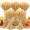 Minnhua 500PCS Spighe di Grano Decorative Fiori Essiccati Grano 40CM | Bouquet Fiori Secchi Naturali Fiori Finti da Interno per Decorazioni Casa Vaso Tavolo Matrimonio DIY