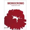 Silvana Monocromo. L'utopia del colore. Marsala, 12 luglio-18 ottobre 2009). Ediz. illustrata