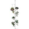 Hershii porta piante da interno scaffali per interni per fiori mensola espositori per decorazioni nuziali stoccaggio regolabile ripiano piante