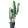 AntHousePlant Cactus artificiale grande cactus finto 63 cm piante di cactus finto per la decorazione di casa, giardino, ufficio, negozio