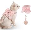 ZOSIGN Pettorina per Gatto con Guinzaglio, Fiocco Rosa Pettorina Gatto Antifuga con Guinzaglio, Imbracatura per Gatti Anti-Fuga, Adatto per Passeggiate All'aperto, Per Gatti da 3,5-6 Kg (Rosa M)