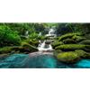 MIRRORANG 76x46cm Cascata Terrario Sfondo Foresta pluviale Tropicale Acquario Sfondo Montagna Lago Verde Albero Rettile Habitat Sfondo Vinile