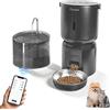 Auveach Distributore Automatico Cibo Gatti e Fontanella Set - 4L 2.4G WiFi Dispenser Crocchette Gatto con Timer Programmabile 1-10 Pasti al Giorno, Ciotola Inox 304, 2.2L Fontana per Gatti (Scuro)