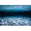 MIRRORANG 76x46cm Sottomarino Tema Acquario Sfondo Mondo Subacqueo Acquario Sfondo Acquario Sfondo