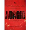 Vision Distribution Adagio