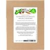 Magic Garden Seeds Fave & zucchine - Set di semi con 3 piante adatte alla coltura mista