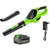 Pneterg Soffiatore di fogli senza fili, 21 V, 3000 W, soffiatore a batteria, 100 MPH, 120 CFM, 5 velocità, soffiatore Parkside potente e leggero per giardino, terrazza (1 batteria)
