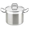 BRA PROFESSIONAL PENTOLA CM 24 CON COPERCHIO INOX A343955