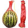 VKY 50 Sacchetti in Rete per Frutta, Sacchetti in Rete di Plastica, Reti per Appendere Frutta, Sacchetti in Rete per Stoccaggio, Sacchetti in Rete per Protezione della Frutta, Forniture da Giardino