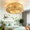 DHGIE Ventilatore da Soffitto con Luce,Tessitura fatta a mano, lampadario con ventola Illuminazione E Telecomando Plafoniera Silenziosa Del Ventilatore Reversibile A 6 Velocità Lampada E26 (50cm)