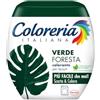 Coloreria Italiana Grey Coloreria, Verde Foresta, 1 Unità (Confezione da 1)