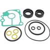 YDSpuhrCM Kit Guarnizioni Unità Inferiore 18-4903 Compatibile Con Mercury MFS9.9 | Adatto a MFS15 MFS18 MFS20; Sostituisce 8M0077448 e 398-87321-3