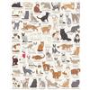 Ridley's Games JIG055 Cat Lover's 1000 Piece Jigsaw Puzzle, Multicoloured