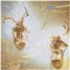Minus Story Heaven and Hell (CD)