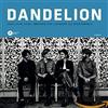 Dandelion Long, Long, Long (CD)