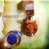 Emanuele Errante The Evanescence of a Thousand Colors (Vinyl LP) 12" Album